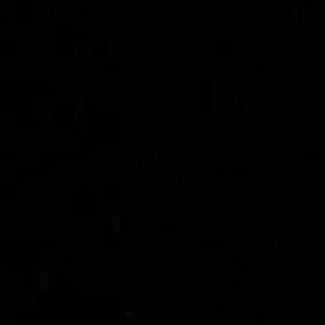 Meet your Posher, Lenny